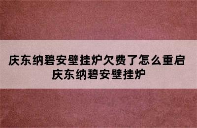 庆东纳碧安壁挂炉欠费了怎么重启 庆东纳碧安壁挂炉